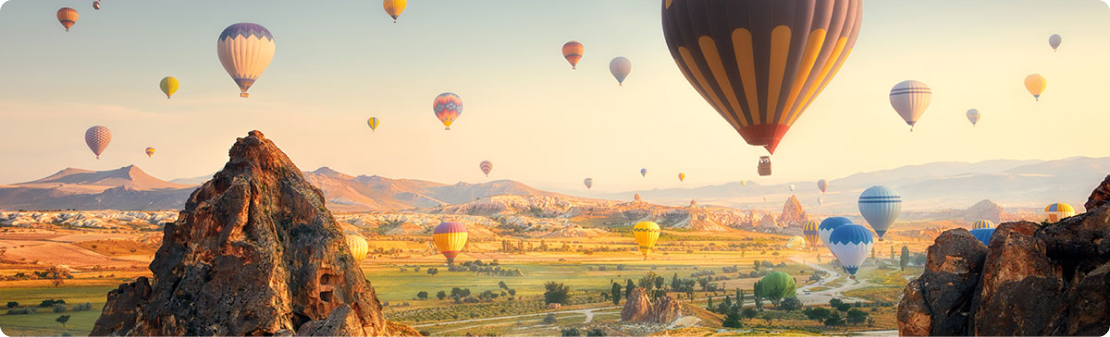 Kullanım Şartları